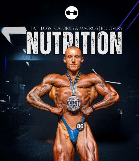No B.S. Muscle Building & Fat Loss Guide By Axle Horton